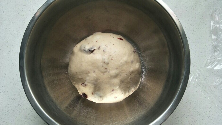 红枣蔓越莓软欧,将揉好的面团放在干净的容器中盖上保鲜膜进行一次发酵