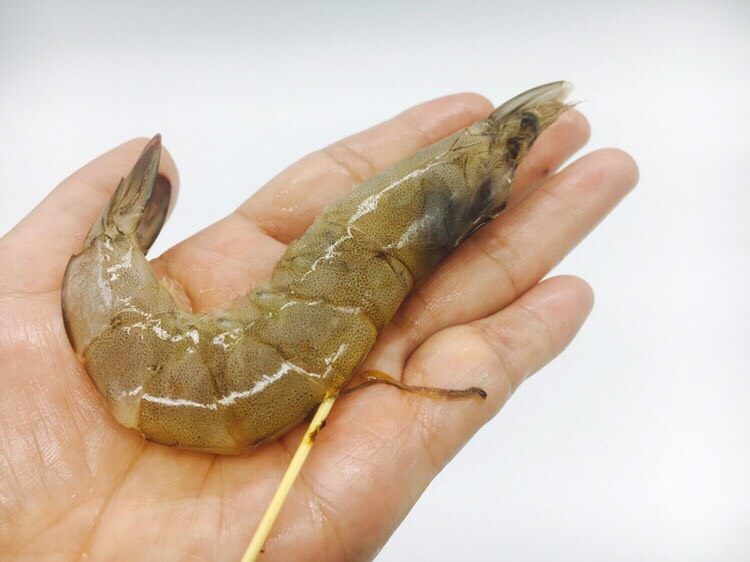 油焖糖醋大虾,剪去虾枪和虾须,剪去虾爪,用剪刀开背,从背部用牙签挑出虾线。