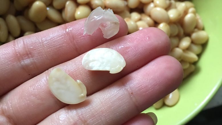 豆腐脑~电饭煲版,泡好的黄豆掰开,里面豆瓣是平整光滑的
