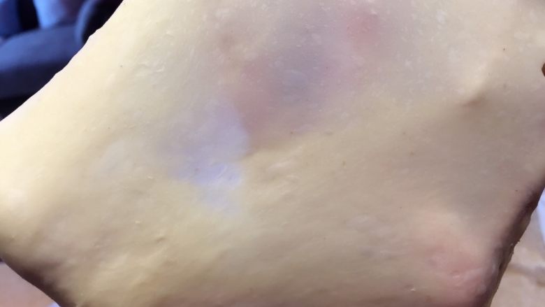 鲜奶哈斯,取出老面撕小块放入主面团中,面团揉至扩展状态。