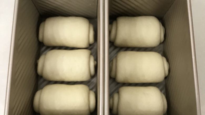 70%蜂蜜蛋白吐司,全部卷好顺一个方向摆放在吐司盒里,摆放一定要整挤