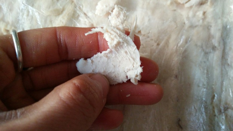 肉松,排散的鸡胸肉成这种状态,用手指肚轻搓就完全散开,有一些肉质紧密连接的就自己再撕一下。