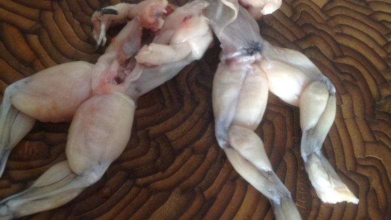 洋葱牛蛙,<a style='color:red;display:inline-block;' href='/shicai/ 270'>牛蛙</a>剖去内脏洗净