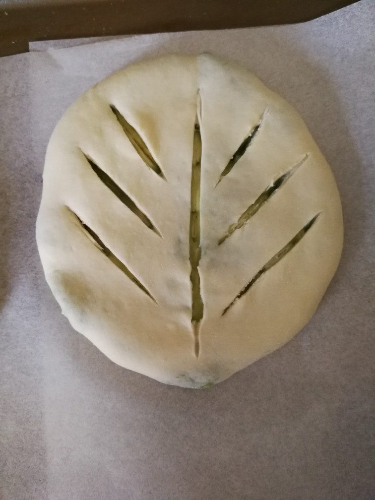 叶子软面包,用刀划成树叶状刀口,放入烤盘醒发箱醒发1个小时后拿出
