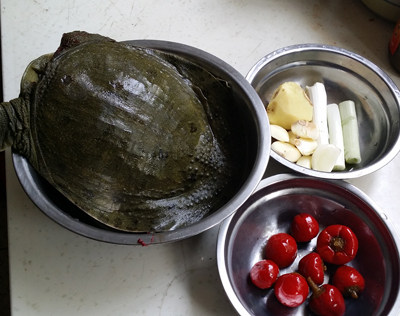 粉皮焖甲鱼,原料图片