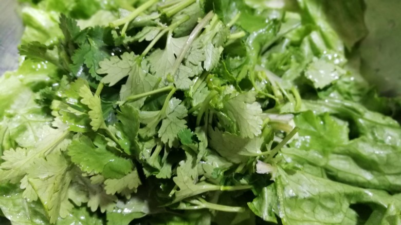 清新小绿拌瓜菜,香菜切段放入,