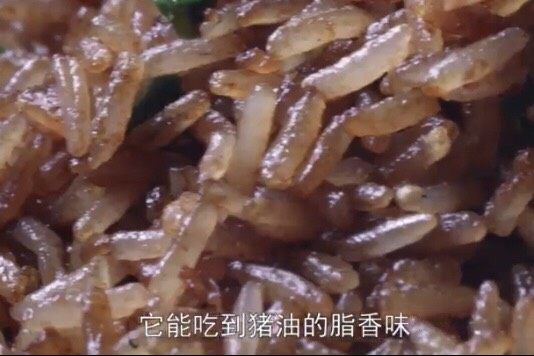 川菜大师版酱油炒饭,再翻拌几下即可起锅。