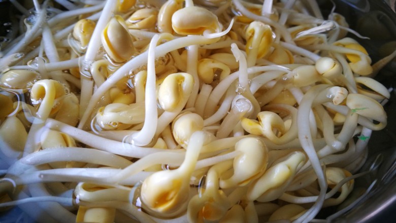 家宴菜谱~鸡鸭鱼肉之毛血旺,<a style='color:red;display:inline-block;' href='/shicai/ 2692'>黄豆芽</a>洗净