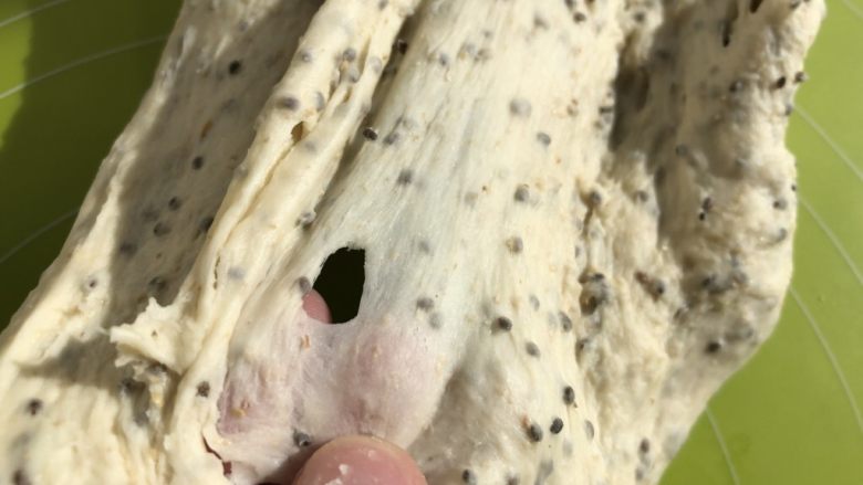 奇亚籽蜜豆燕麦欧包,直到面团可以拉出膜去,膜会破但是边缘是光滑的状态即可
