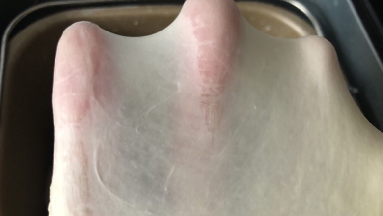 中种白吐司(70%中种),加入黄油后揉至完全扩展状态,可以扯出较薄的透明切有弹性的手套膜。
