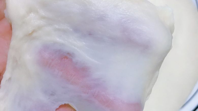 爆浆肉松面包,揉好的面团能够拉出薄膜,破洞处的边缘是光滑的状态