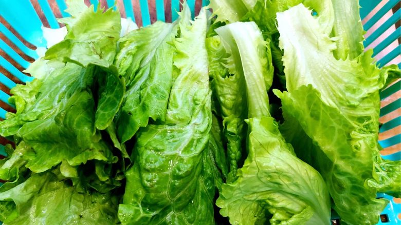 水煮肉片,<a style='color:red;display:inline-block;' href='/shicai/ 121'>生菜</a>洗干净