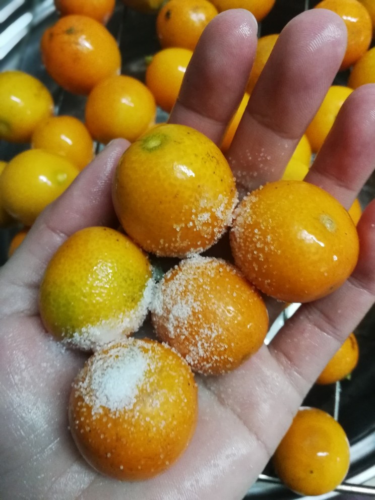 糖渍金桔,几个一起,用盐搓搓搓~,搓过以后再冲洗干净