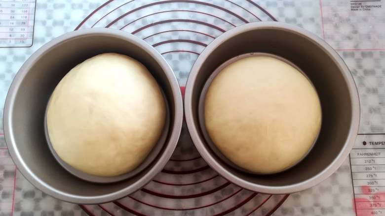 奶酪包,面团发酵到2倍大小,取出室温下发酵,同时预热烤箱