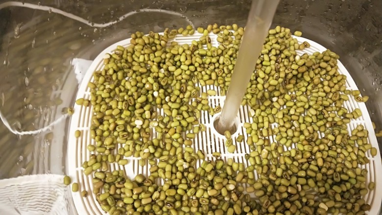 绿色食品\在家就能涨豆芽\香辣凉拌绿豆芽,第一层撒上泡好的豆芽。