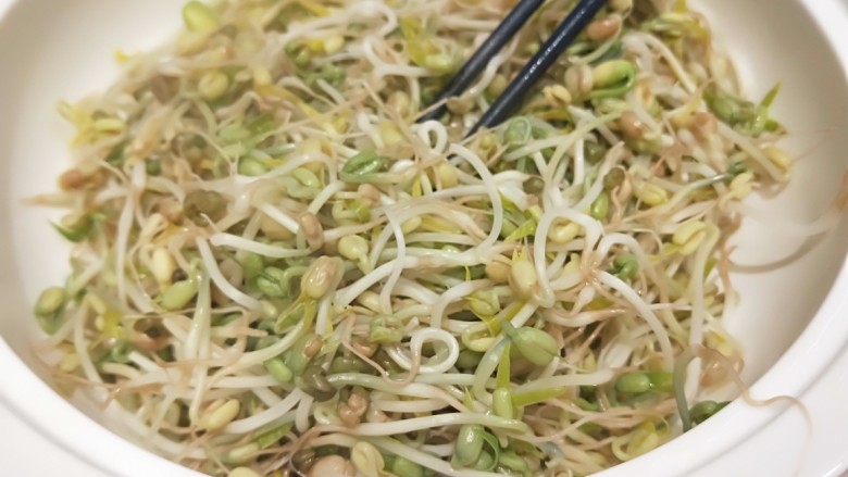 绿色食品\在家就能涨豆芽\香辣凉拌绿豆芽,捞出来的豆芽放盘中。