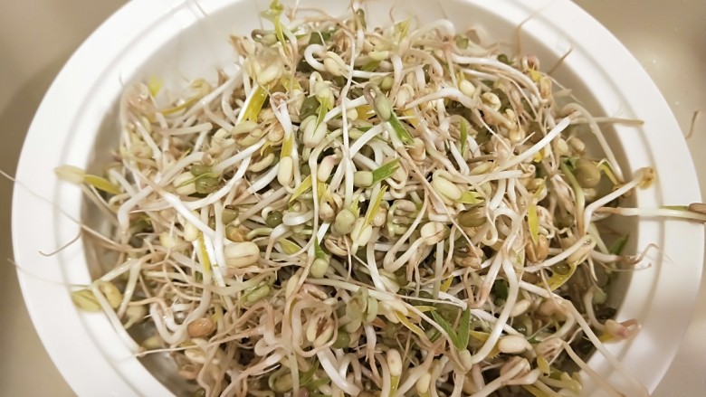 绿色食品\在家就能涨豆芽\香辣凉拌绿豆芽,捞出来就可以,炒,凉拌都可以。