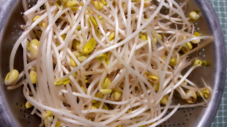 炒黄豆芽,清洗<a style='color:red;display:inline-block;' href='/shicai/ 2692'>黄豆芽</a>