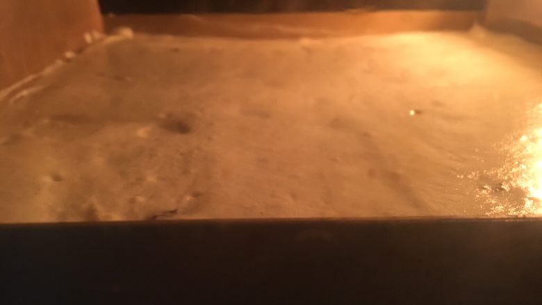 蔓越莓纯蛋白卷,烤箱预热170度,烤约18分钟