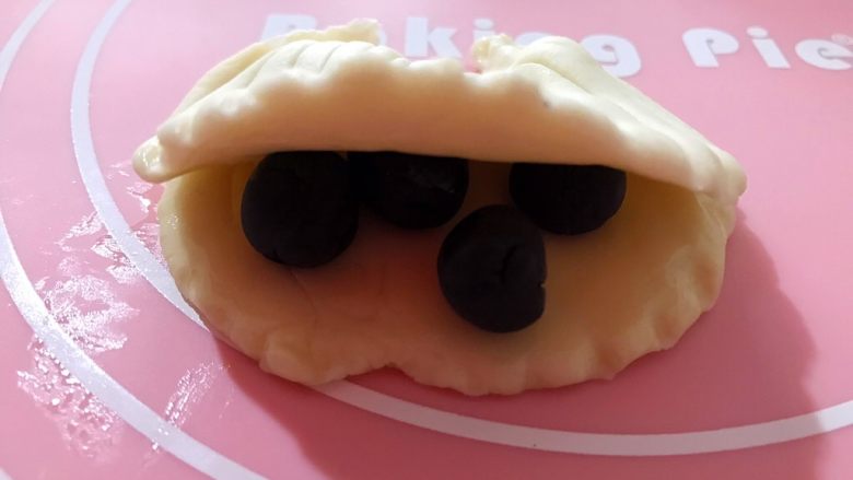 白贝壳黑珍珠(一次发酵),不要全部放在里面,稍微往外靠一点