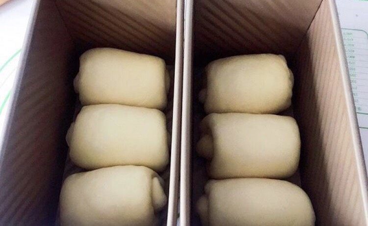 奶油吐司(波兰种),放进吐司盒里,用烤箱的发酵功能进行最后的发酵,烤箱里放一碗热水保证湿度。