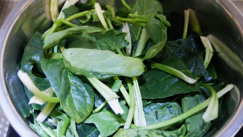 原汁原味羊肉卷菠菜汤,<a style='color:red;display:inline-block;' href='/shicai/ 117'>菠菜</a>摘去根部,洗净备用。