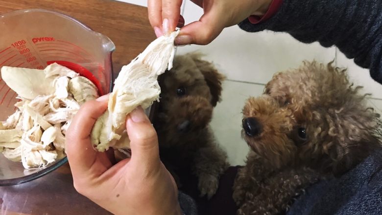 狗年小汪的美味 — 磨牙鸡肉干,注意粗细均匀