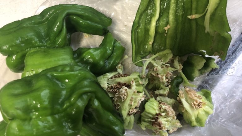 青椒炒蛋,青椒去掉籽和茎,这个茎有点辣的,拿掉会不辣一些。