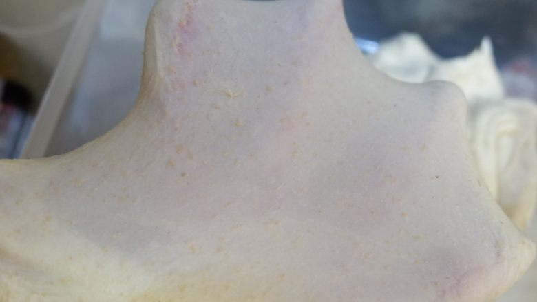 全麦紫薯辣松软欧面包,用手掌拎起面团,活动手腕上下甩动,能甩出这种这种状态就可以了,不用非常薄的手套膜,有韧性即可