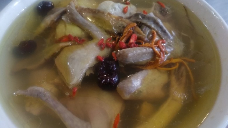 鲜人参当归炖老鸽,就可以了