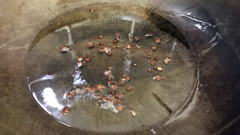 绝代双骄(花椒辣椒土豆丝),小火煸香