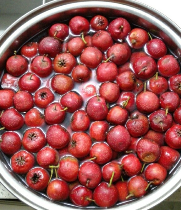 自制果丹皮,<a style='color:red;display:inline-block;' href='/shicai/ 599'>山楂</a>用盐<a style='color:red;display:inline-block;' href='/shicai/ 156925'>水</a>泡一下，洗净