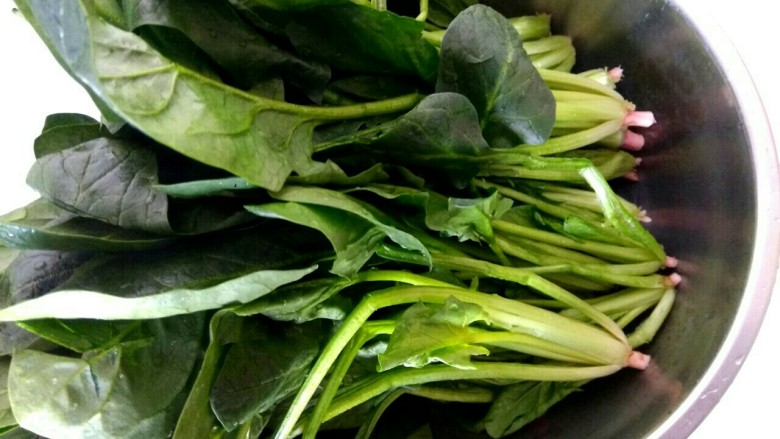 菠菜拌粉丝,<a style='color:red;display:inline-block;' href='/shicai/ 117'>菠菜</a>去掉老叶,去根须,择好