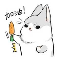 椰奶红豆芋圆,加油!