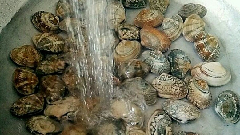 蛤蜊鸡,花蛤过盐水洗净。具体的洗花蛤方法详见小贴士。