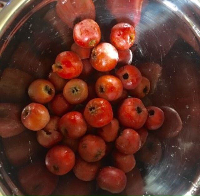 制作冰糖葫芦,选择新鲜山楂清除籽和核洗净,在把山楂串起来长度自定