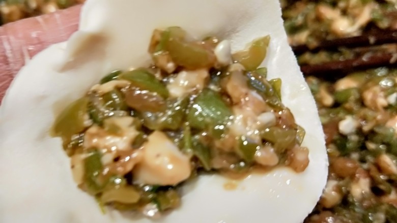 四季豆猪肉虾仁花样饺子,包饺子了,饺料放中间。