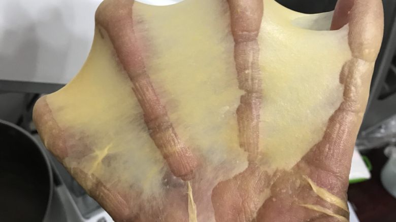 南瓜手撕吐司(中种法),厨师机2档把黄油揉进面团后转5档揉至完全扩展阶段,出手套膜全程用时17分钟
