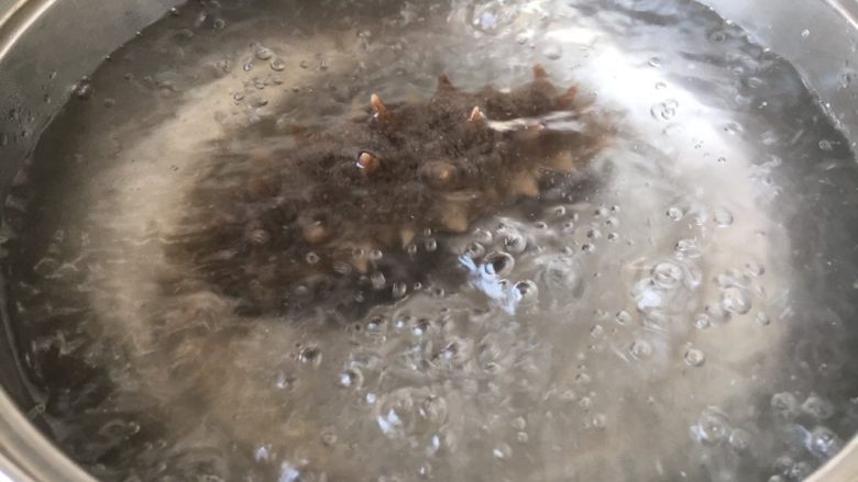 鸡汁小米海参粥,煮粥期间,将海参焯水,捞出备用。