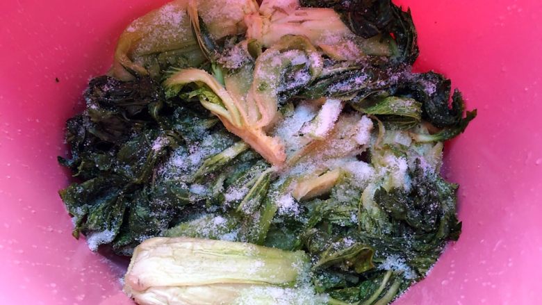 自制腌菜,撒上一层盐(菜和盐的比例是10:1,也就是500g菜放50g盐)