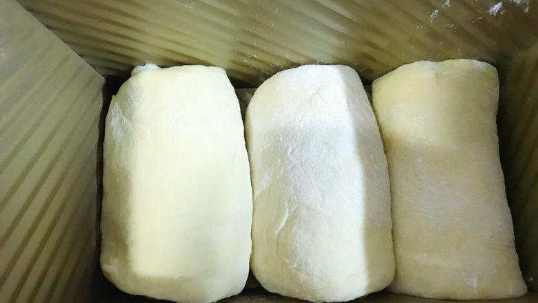 私家版土司,卷好了就如图排在土司盒里,等待2次发酵。可以用湿布盖,也可以直接用土司盖子盖好。