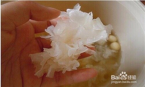 用心创造美食,莲籽也浸泡去掉中心的芽不然发苦，清洗杂物。
