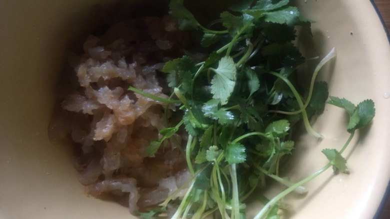 家常凉拌海蜇丝,拿一个大盆,放入海蜇丝和香菜;