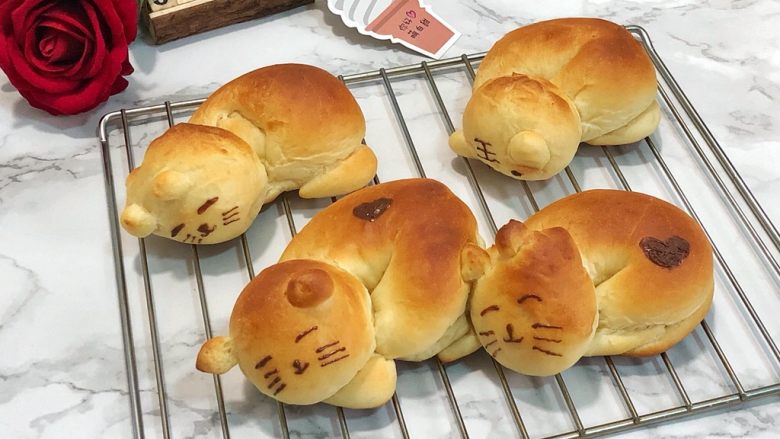 小懒猫餐包,画上鼻子眼,可爱不😄
