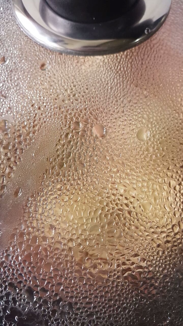 腐乳鸡翅根,水开后转小火,盖锅盖炖煮40分钟