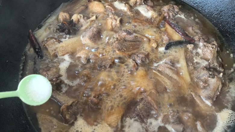 鸭肉最好吃的做法—啤酒鸭,加入适量食盐,继续炖15分钟