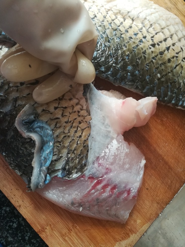 阳春布德泽,万物生光辉,连烤鱼丸都发光啦,把鱼放在醋里蘸一下,全部要蘸到醋,然后给鱼做个“全身按摩”,其实也就是揉捏一下啦。
过一两分钟后,奇迹,奇迹真的就产生了:鱼皮真的和鱼肉分开来了,可以像剥芋子一样把鱼皮剥下来了,太神奇了。