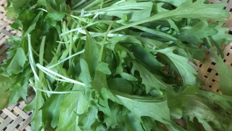 蔬菜沙拉
『雨涵』,<a style='color:red;display:inline-block;' href='/shicai/ 3320'>苦菊</a>摘好洗净