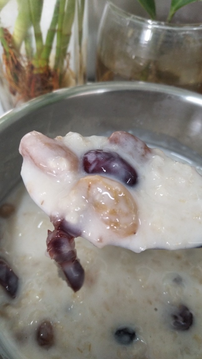蔓越莓燕麦粥
