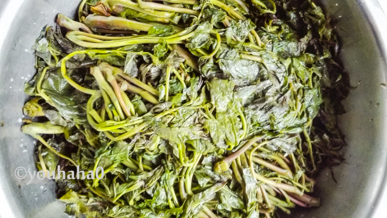 腌香椿芽,2~3天后就腌渍成功,图中就是腌渍3天后的样子,可以直接吃了,一次吃不了,装保鲜袋放冰箱冷冻保存,没错是放冷冻的